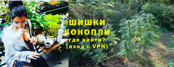 ГАЛЛЮЦИНОГЕННЫЕ ГРИБЫ Белоозёрский