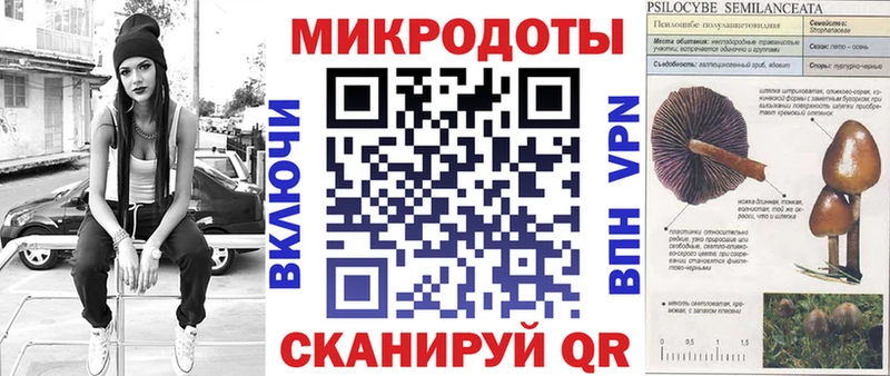 Псилоцибиновые грибы Cubensis  Воркута 